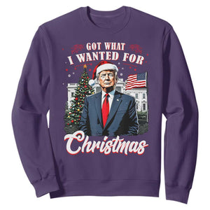Christmas Trump Sweatshirt Got What I Wanted For Xmas 2024 President American Flag TS02 Purple Print Your Wear