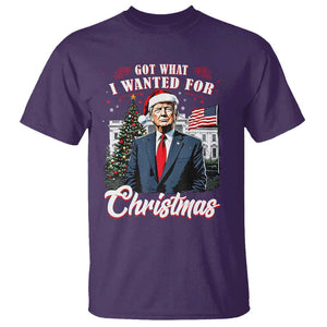 Christmas Trump T Shirt Got What I Wanted For Xmas 2024 President American Flag TS02 Purple Print Your Wear