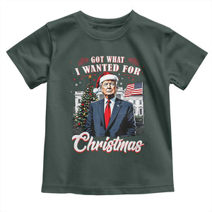 Christmas Trump Toddler T Shirt Got What I Wanted For Xmas 2024 President American Flag TS02 Dark Forest Green Print Your Wear