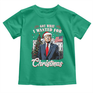 Christmas Trump Toddler T Shirt Got What I Wanted For Xmas 2024 President American Flag TS02 Irish Green Print Your Wear
