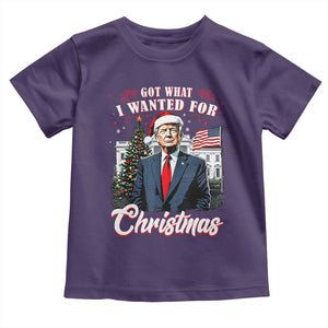 Christmas Trump Toddler T Shirt Got What I Wanted For Xmas 2024 President American Flag TS02 Purple Print Your Wear
