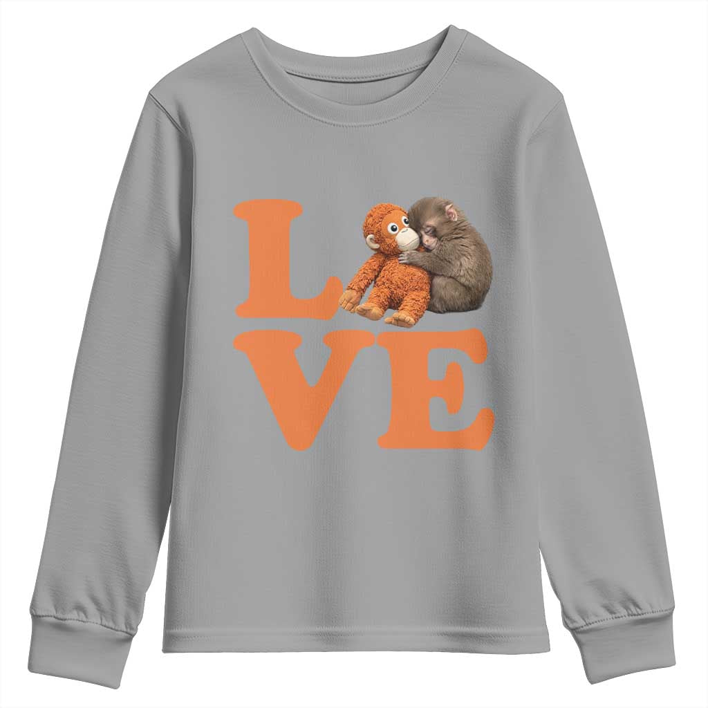 Love Punch the Baby Monkey Youth Sweatshirt Cute Hugging Plush Toy Viral Friendship TS02 Sport Gray Print Your Wear
