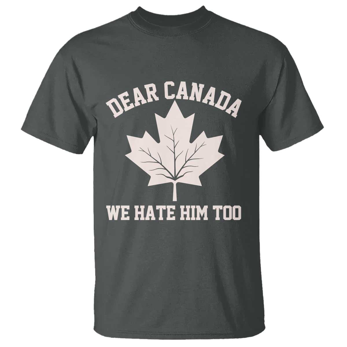 Dear Canada We Hate Him Too T Shirt Political 2025 Protest TS02 Dark Heather Print Your Wear