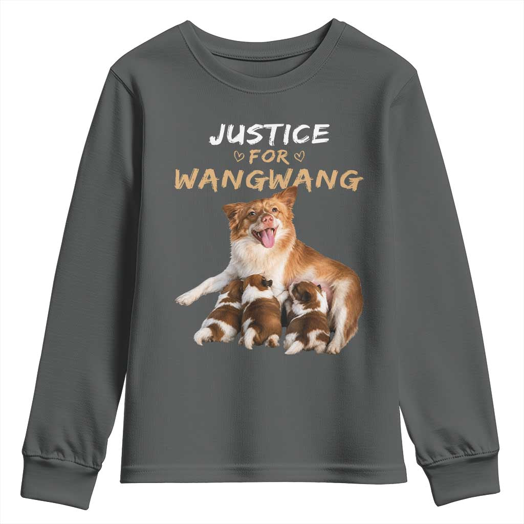 Justice For Wangwang Mother Dog Newborn Puppies Youth Sweatshirt Animal Rights Awareness Graphic TS02 Dark Heather Print Your Wear