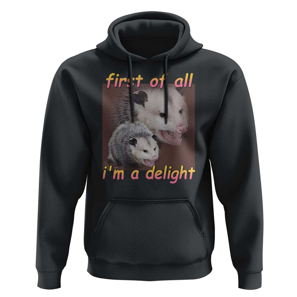 Funny Opossum Hoodie First Of All I'm A Delight TS02 Black Print Your Wear