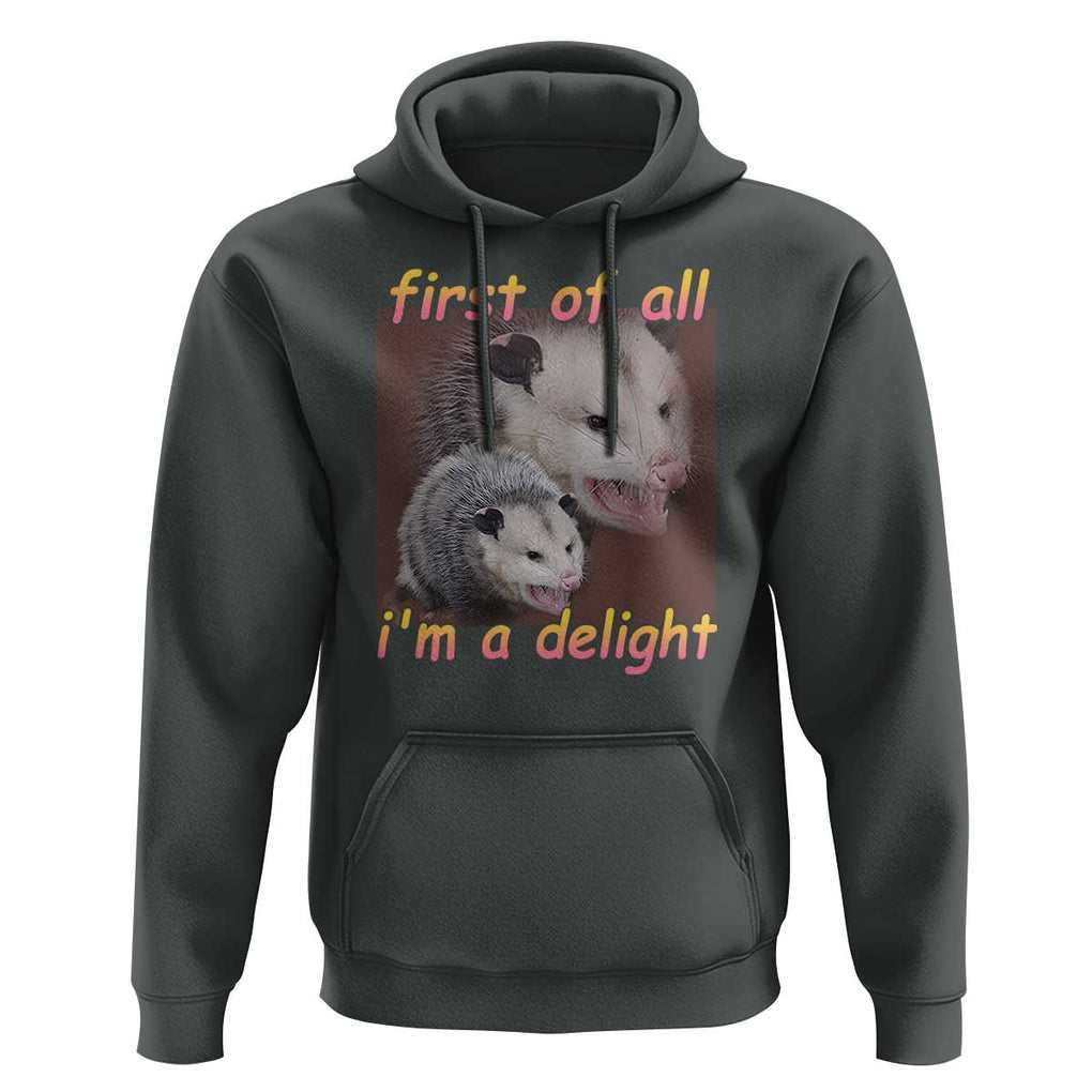 Funny Opossum Hoodie First Of All I'm A Delight TS02 Dark Heather Print Your Wear