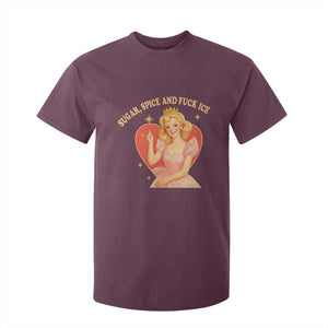 Sugar Spice and F Ice Retro Fairy T Shirt For Kid Feminist Against Ice Protest Political Resistance TS02 Maroon Print Your Wear