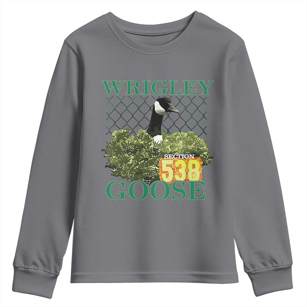 Funny Wrigley Goose Youth Sweatshirt Section 538 Chicago TS02 Charcoal Print Your Wear
