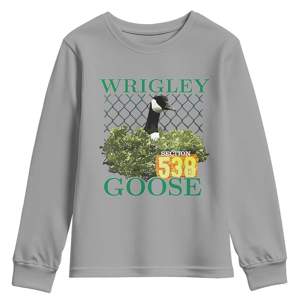 Funny Wrigley Goose Youth Sweatshirt Section 538 Chicago TS02 Sport Gray Print Your Wear