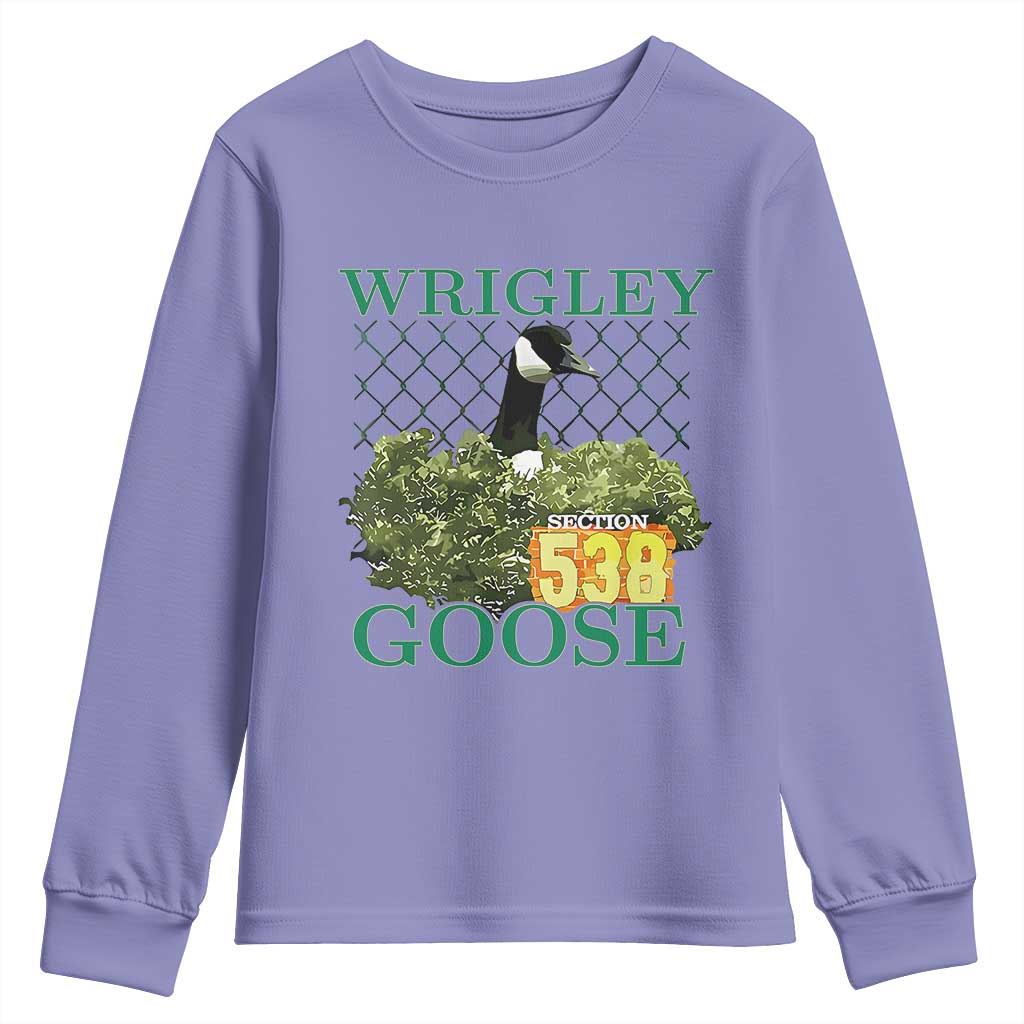 Funny Wrigley Goose Youth Sweatshirt Section 538 Chicago TS02 Violet Print Your Wear