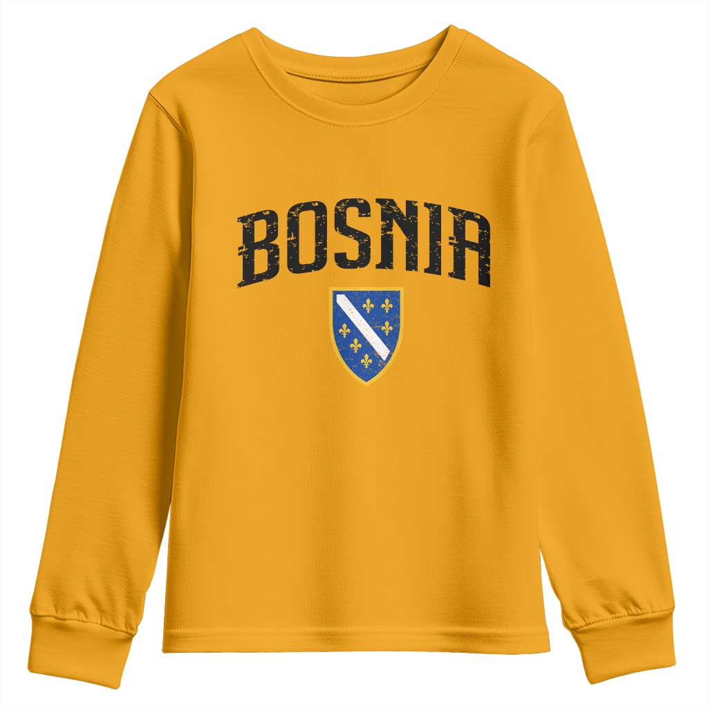 Vintage Bosnia Coat of Arms Minimalist Youth Sweatshirt Golden Lily Heritage Shield Graphic TS02 Gold Print Your Wear