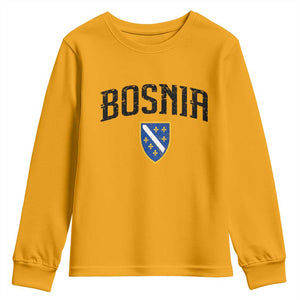 Vintage Bosnia Coat of Arms Minimalist Youth Sweatshirt Golden Lily Heritage Shield Graphic TS02 Gold Print Your Wear