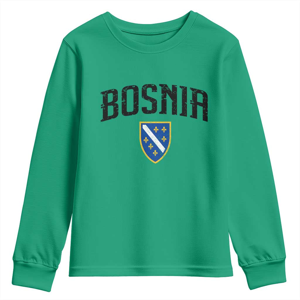Vintage Bosnia Coat of Arms Minimalist Youth Sweatshirt Golden Lily Heritage Shield Graphic TS02 Irish Green Print Your Wear