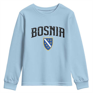 Vintage Bosnia Coat of Arms Minimalist Youth Sweatshirt Golden Lily Heritage Shield Graphic TS02 Light Blue Print Your Wear