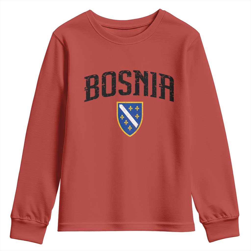 Vintage Bosnia Coat of Arms Minimalist Youth Sweatshirt Golden Lily Heritage Shield Graphic TS02 Red Print Your Wear