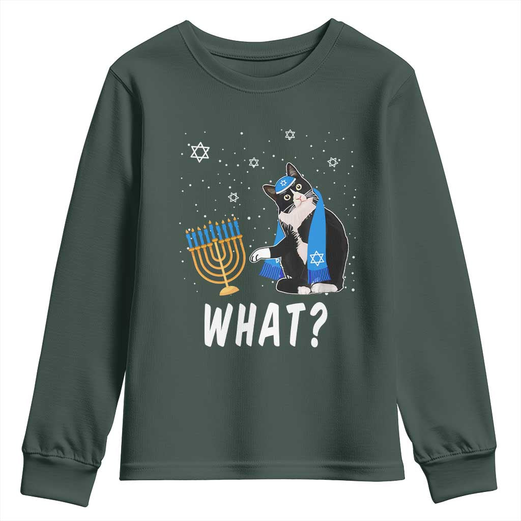 Funny Hanukkah Cat Youth Sweatshirt What Hanukcat Chanukah Jewish Festival TS02 Dark Forest Green Print Your Wear