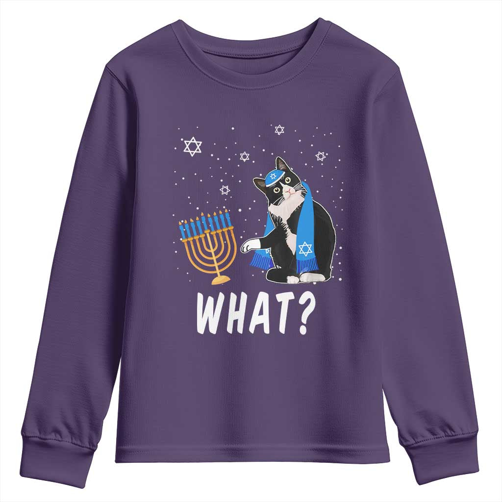 Funny Hanukkah Cat Youth Sweatshirt What Hanukcat Chanukah Jewish Festival TS02 Purple Print Your Wear