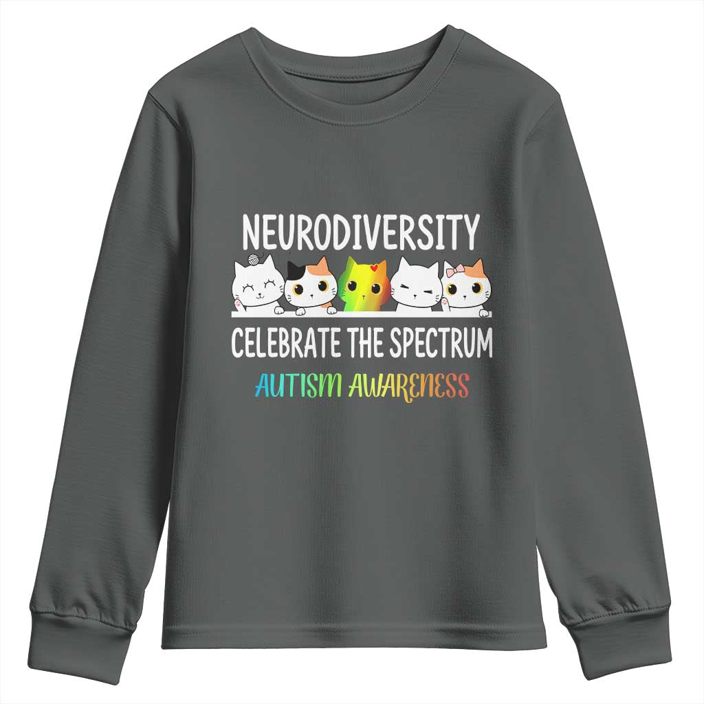 Cute Cats Autism Embrace Youth Sweatshirt Neurodiversity Celebrate The Spectrum TS02 Dark Heather Print Your Wear