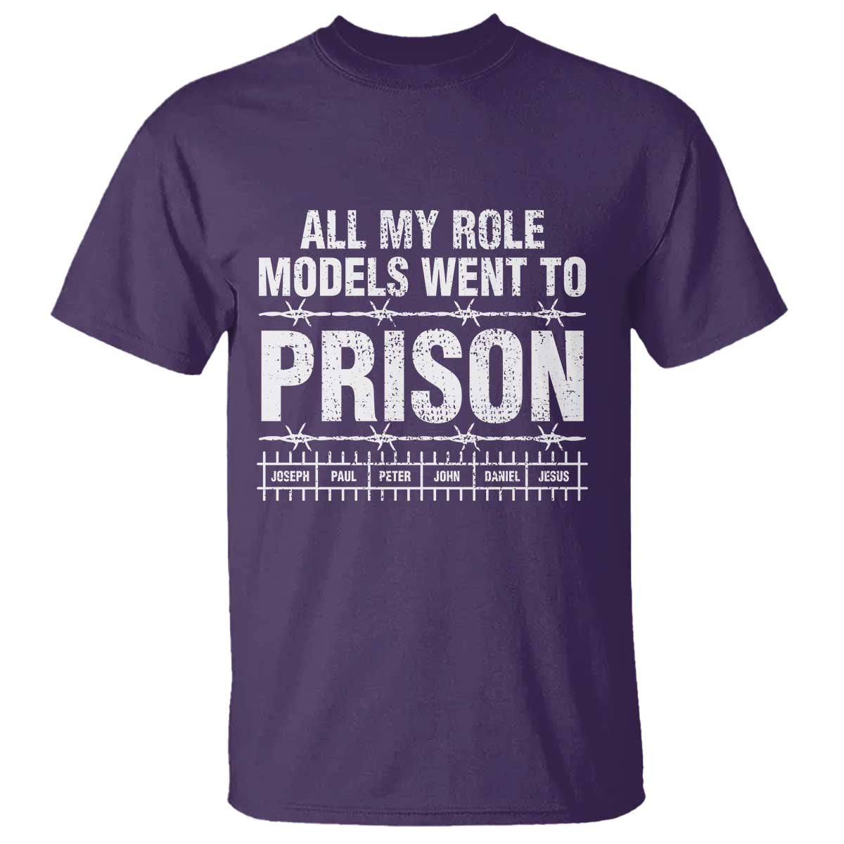 All My Role Models Went To Prison T Shirt Biblical History Heroes Faith Statement TS02 Purple Print Your Wear
