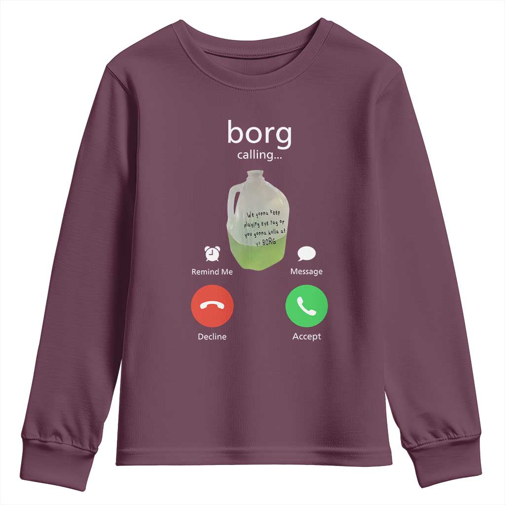 Funny Borg Drink Caling Meme Youth Sweatshirt College Party Drink Viral Humor TS02 Maroon Print Your Wear