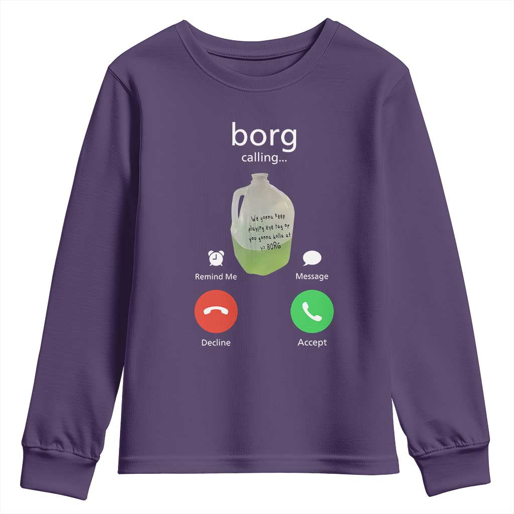 Funny Borg Drink Caling Meme Youth Sweatshirt College Party Drink Viral Humor TS02 Purple Print Your Wear