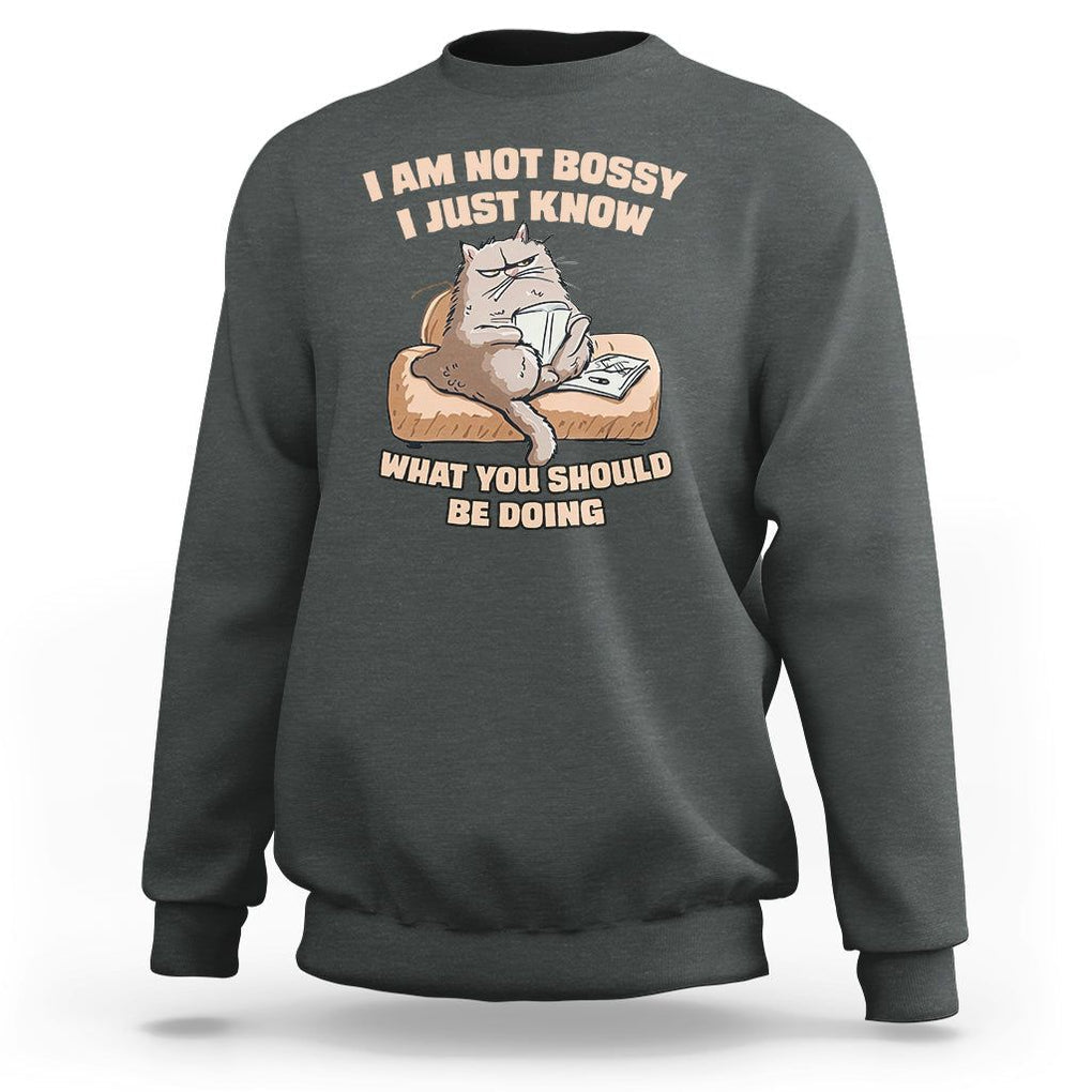 Sarcastic Cat Sweatshirt I Am Not Bossy I Just Know What You Should Be Doing TS02 Dark Heather Printyourwear