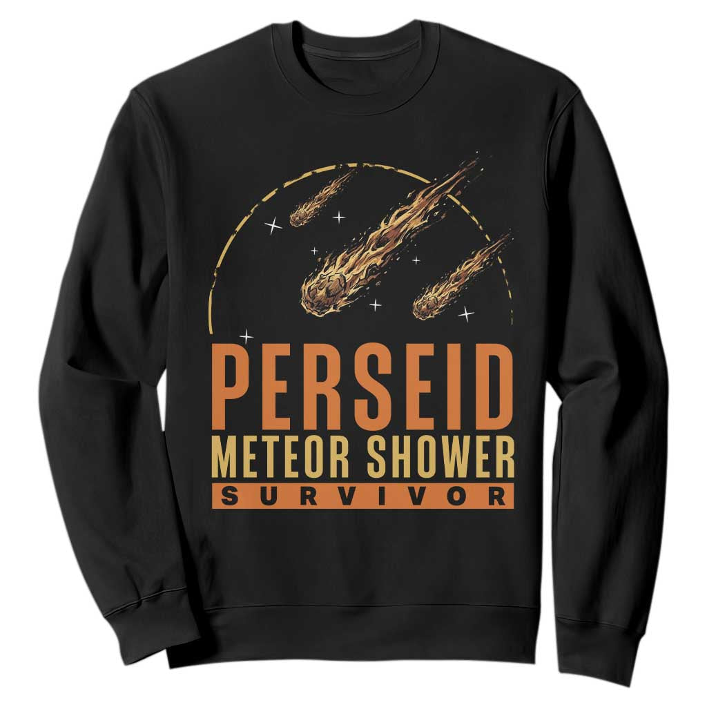 Vintage Perseid Meteor Shower Survivor Sweatshirt Retro Astronomy Stargazing Graphic TS02 Black Print Your Wear