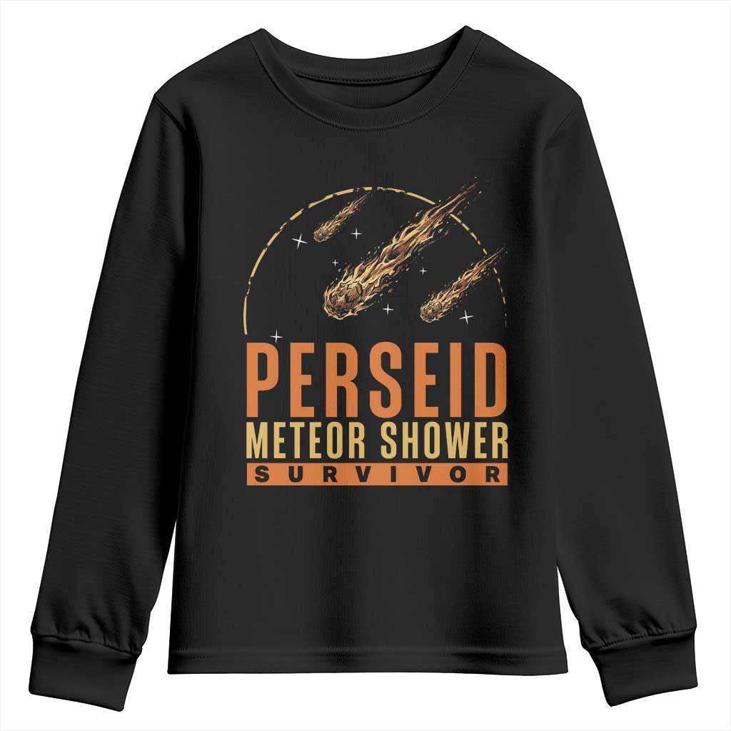 Vintage Perseid Meteor Shower Survivor Youth Sweatshirt Retro Astronomy Stargazing Graphic TS02 Black Print Your Wear