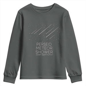 Perseid Meteor Shower Comet Swift Tuttle Youth Sweatshirt Celestial Astronomy Graphic TS02 Dark Heather Print Your Wear