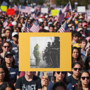 Frog Resist Protest Sign Free Portland Oregon Freedom Fighters - Print Your Wear