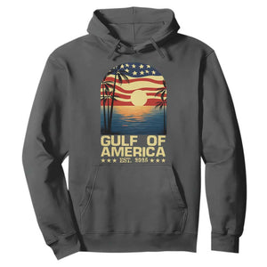 Gulf Of USA Hoodie Est 2025 American Flag Retro TS02 Dark Heather Print Your Wear