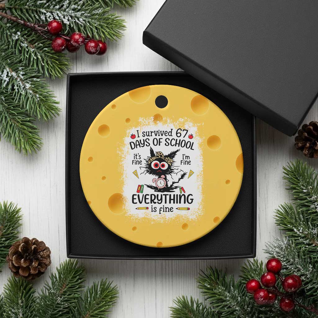 I Survived 67 Days of School Ceramic Ornament Funny Teacher Black Cat Chaos Everything Is Fine TS02 1pc Yellow Cheese Print Your Wear