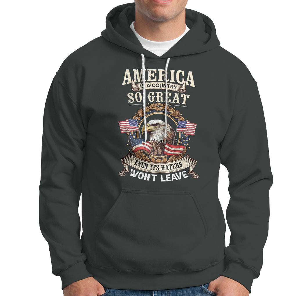 American Eagle Hoodie America A Country So Great Even Its Haters Won't Leave TS02 Printyourwear