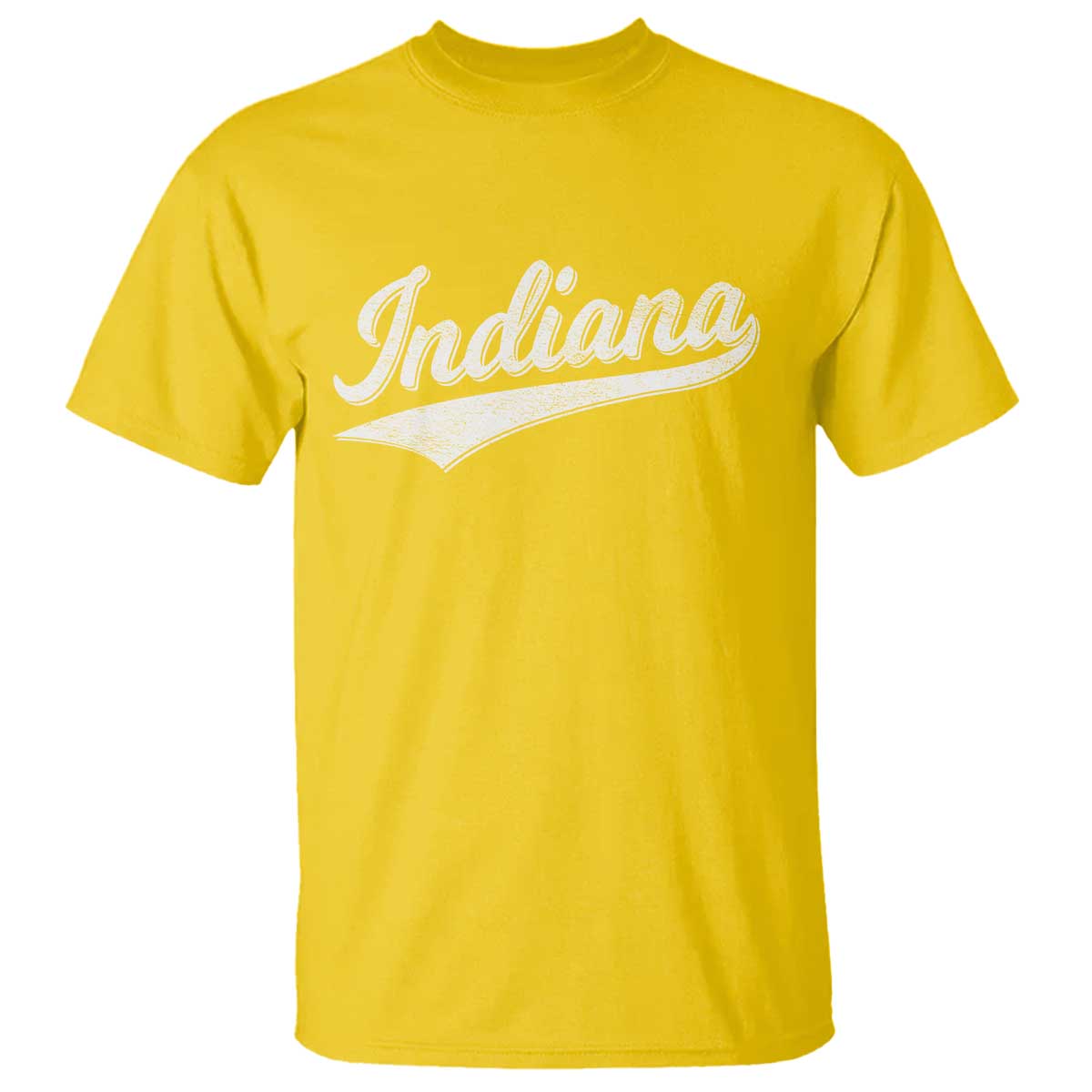 Vintage Indiana Retro Throwback Distressed T Shirt Retro Classic IN State Pride TS02 Daisy Print Your Wear