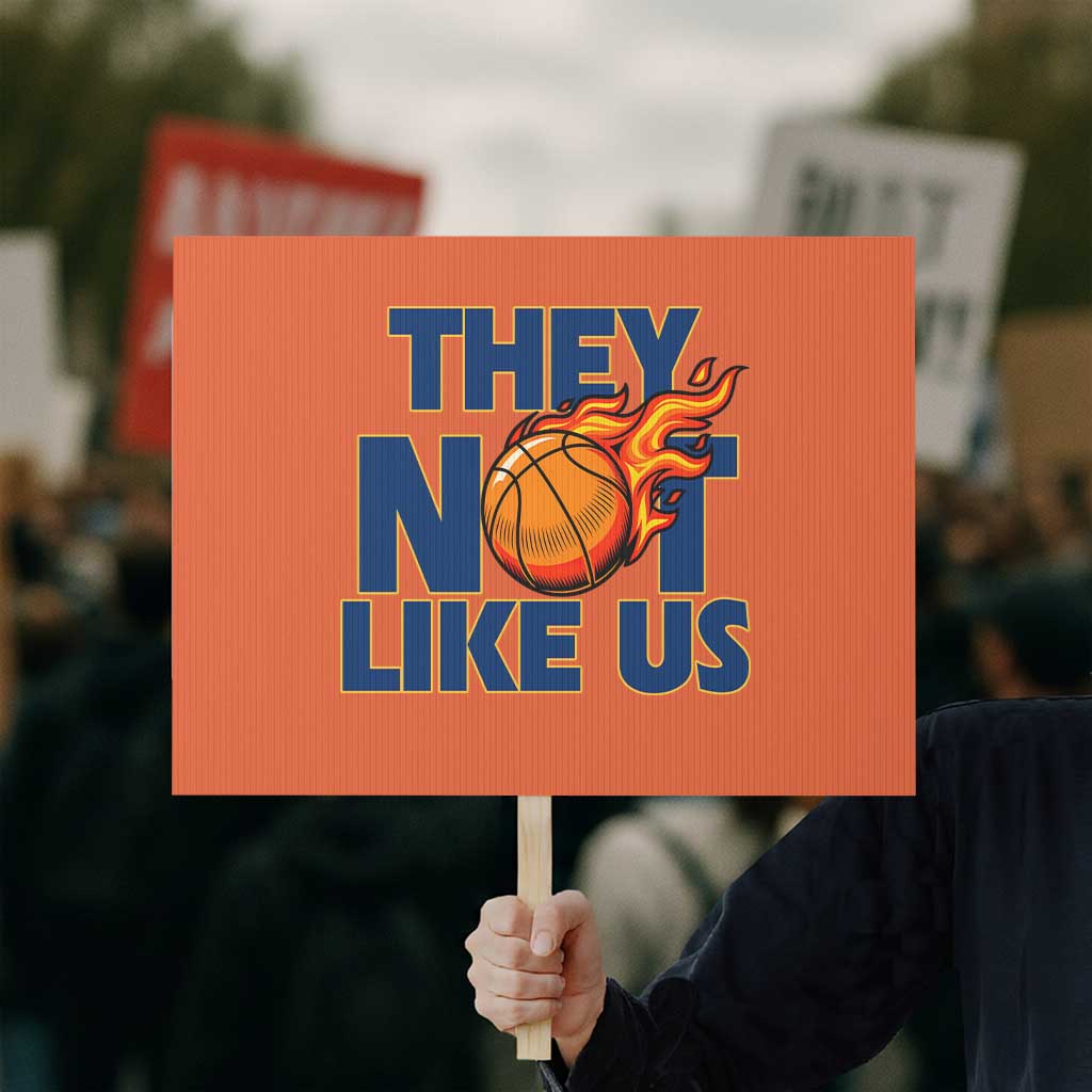 They Not Like Us Basketball Protest Sign Fierce Flame Ball Graphic for Hooops Fans TS02 Horizontal 18