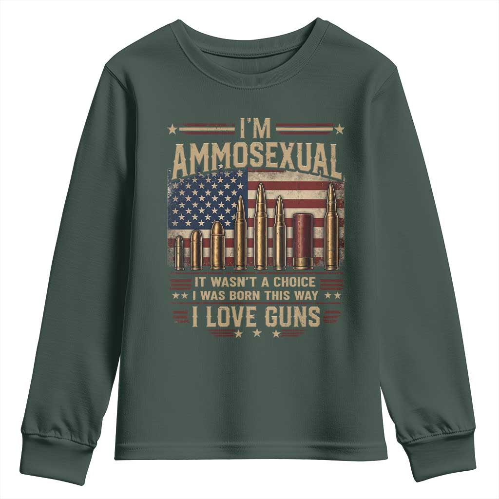 Funny Patriotic Second Amendment Humor American Flag Youth Sweatshirt Im Ammosexual I Love Guns Owners Veterans