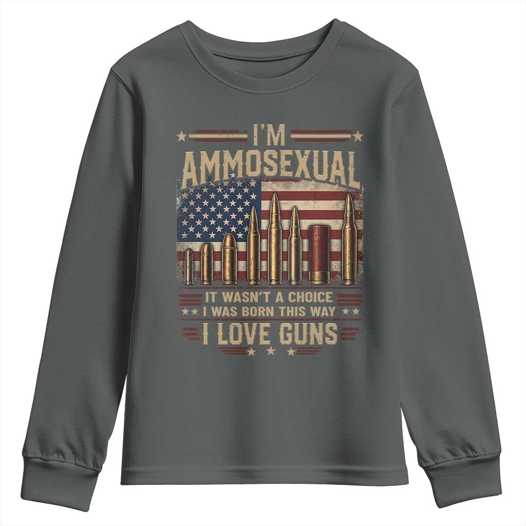 Funny Patriotic Second Amendment Humor American Flag Youth Sweatshirt Im Ammosexual I Love Guns Owners Veterans