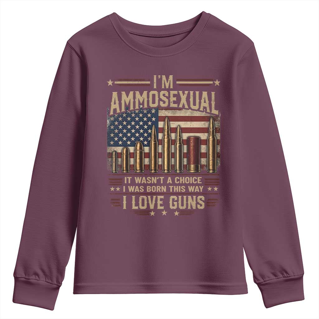 Funny Patriotic Second Amendment Humor American Flag Youth Sweatshirt Im Ammosexual I Love Guns Owners Veterans