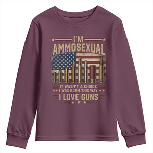 Funny Patriotic Second Amendment Humor American Flag Youth Sweatshirt Im Ammosexual I Love Guns Owners Veterans