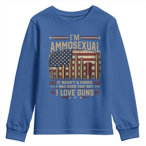 Funny Patriotic Second Amendment Humor American Flag Youth Sweatshirt Im Ammosexual I Love Guns Owners Veterans