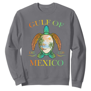 Gulf Of USA Est 2025 Sweatshirt Funny Turtle Beach Vibe TS02 Charcoal Print Your Wear
