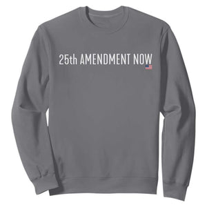 25th Amendment Now Minimalist Typography Graphic Sweatshirt Political Satire Patriotic American Flag TS02 Charcoal Print Your Wear