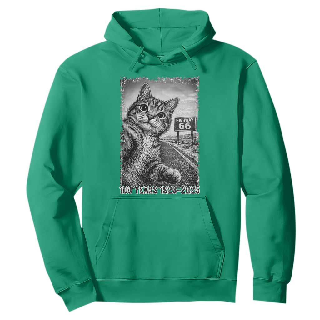 Funny Road Trip Cat Selfie with Highway 66 Hoodie Centennial 1926-2026 Historic Highway Humor TS02 Irish Green Print Your Wear