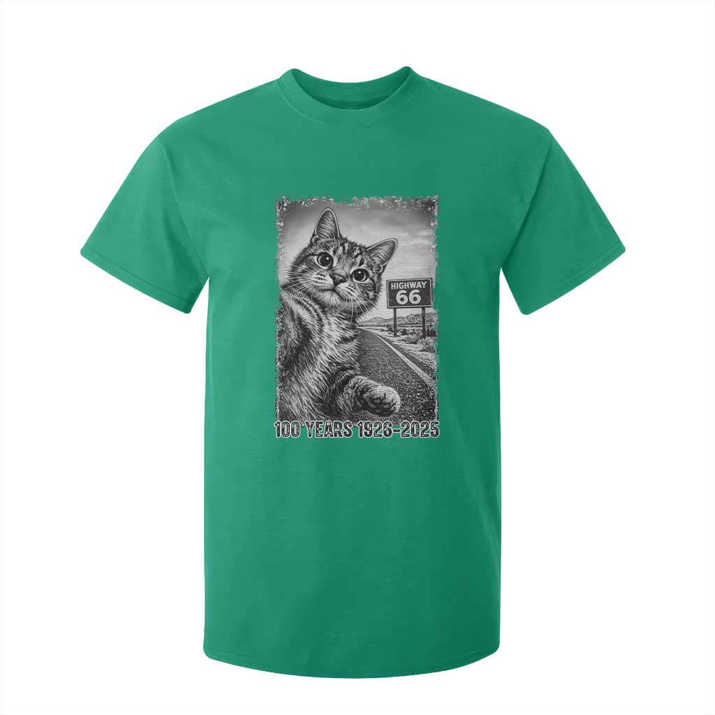 Funny Road Trip Cat Selfie with Highway 66 T Shirt For Kid Centennial 1926-2026 Historic Highway Humor TS02 Irish Green Print Your Wear