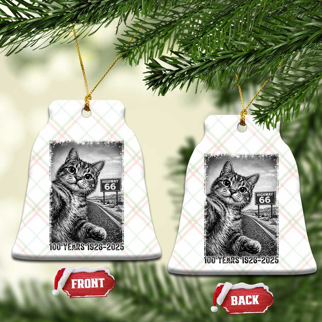 Funny Road Trip Cat Selfie with Highway 66 Ceramic Ornament Centennial 1926-2026 Historic Highway Humor TS02 Print Your Wear