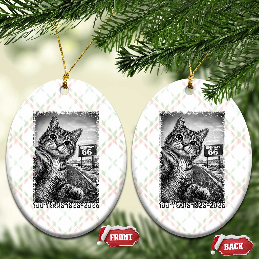 Funny Road Trip Cat Selfie with Highway 66 Ceramic Ornament Centennial 1926-2026 Historic Highway Humor TS02 Print Your Wear