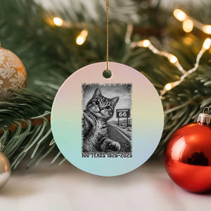 Funny Road Trip Cat Selfie with Highway 66 Ceramic Ornament Centennial 1926-2026 Historic Highway Humor TS02 1pc Pastel Print Your Wear