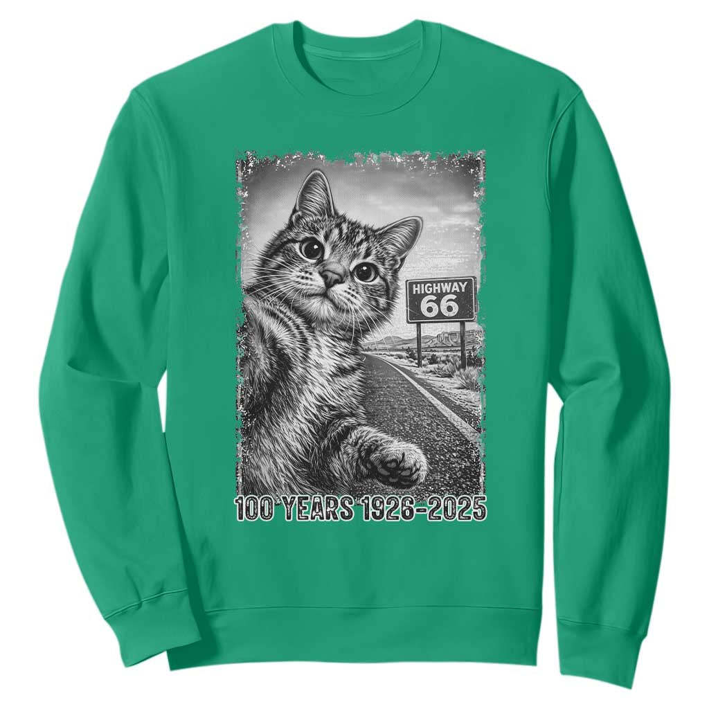 Funny Road Trip Cat Selfie with Highway 66 Sweatshirt Centennial 1926-2026 Historic Highway Humor TS02 Irish Green Print Your Wear