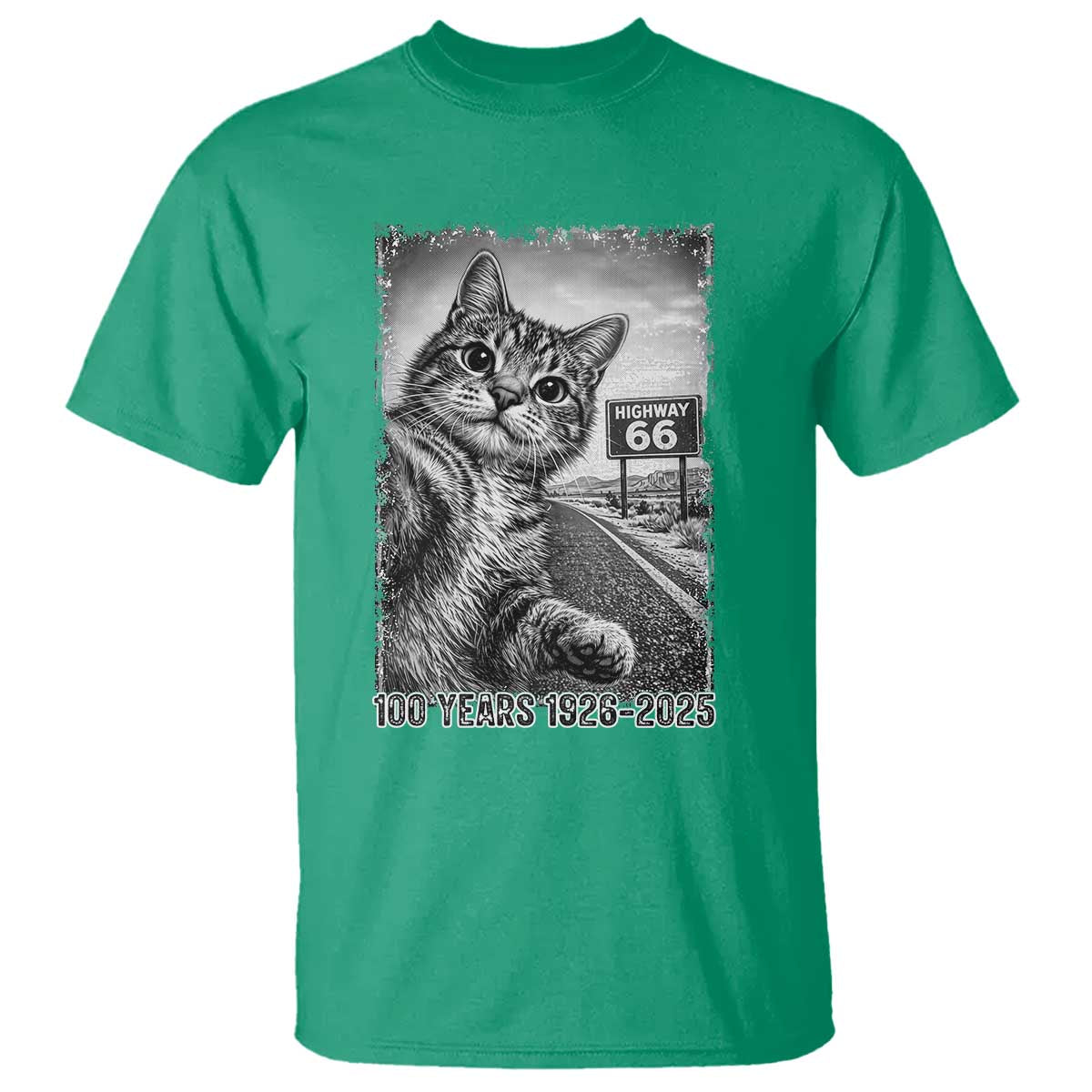 Funny Road Trip Cat Selfie with Highway 66 T Shirt Centennial 1926-2026 Historic Highway Humor TS02 Irish Green Print Your Wear
