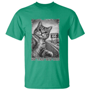 Funny Road Trip Cat Selfie with Highway 66 T Shirt Centennial 1926-2026 Historic Highway Humor TS02 Irish Green Print Your Wear